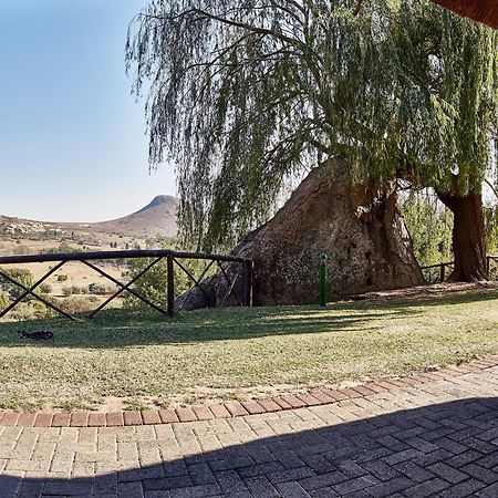 Villa Lionsrock Big Cat Sanctuary Bethlehem Exterior foto