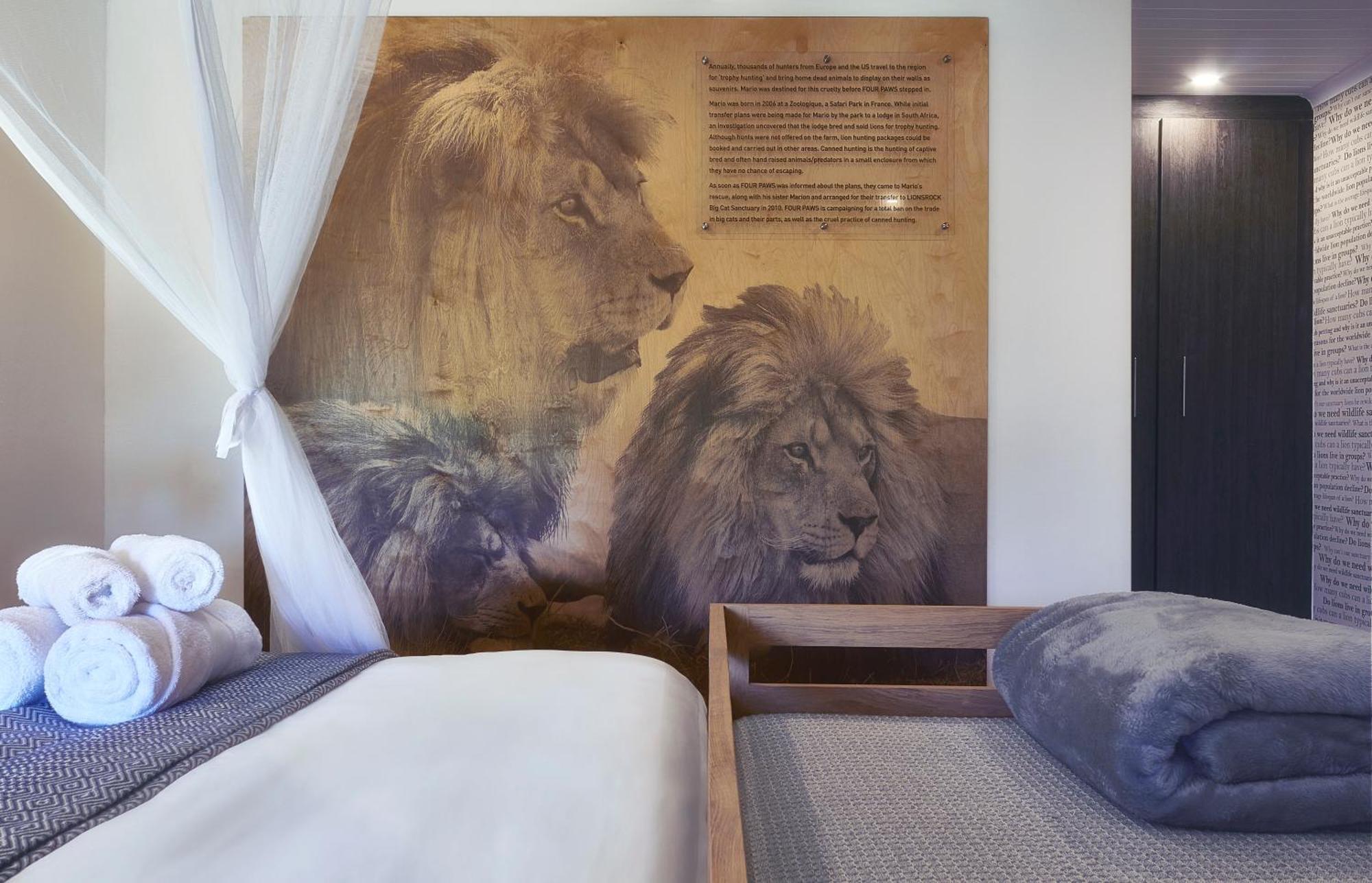 Villa Lionsrock Big Cat Sanctuary Bethlehem Exterior foto